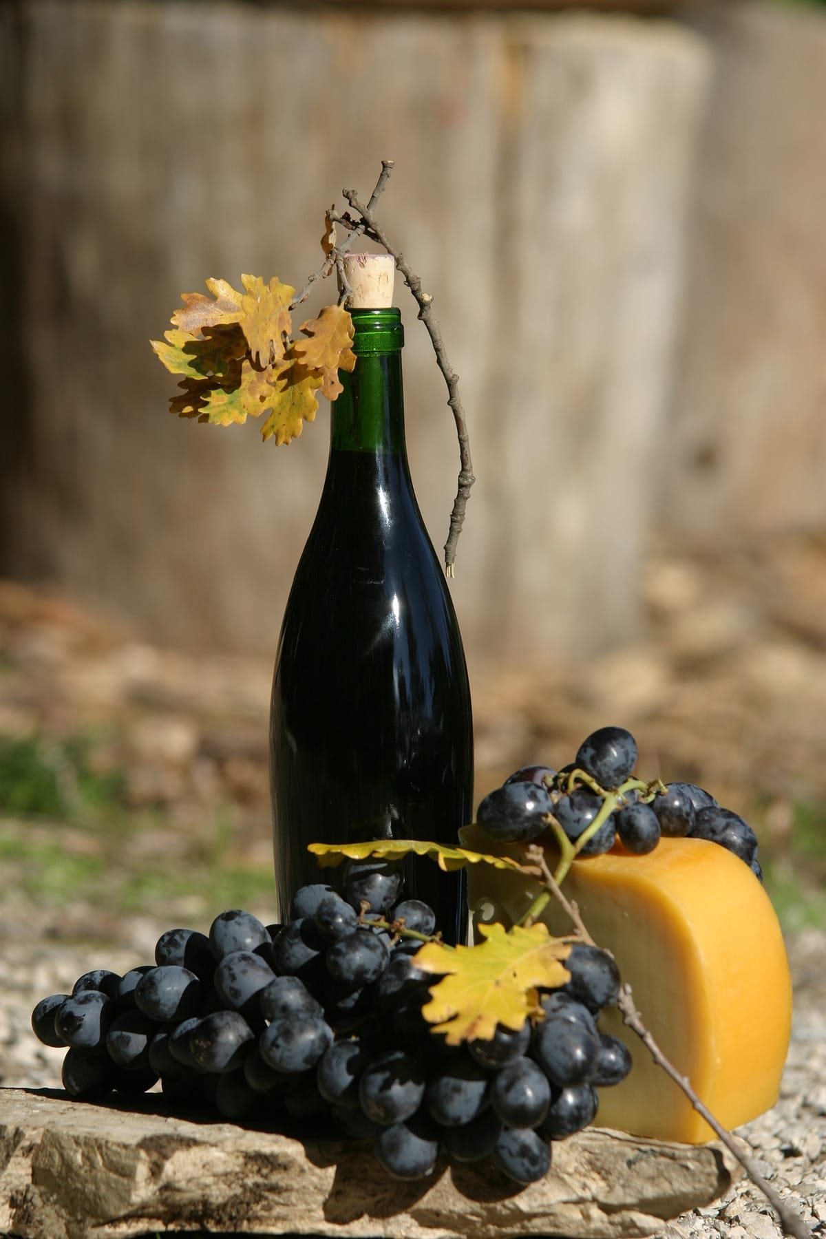 Wino i ser